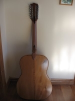 Kauri back