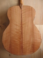 Tawhai  (Red Beech)
