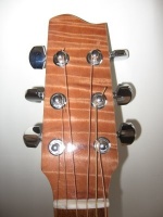 Selected curly beech headplate