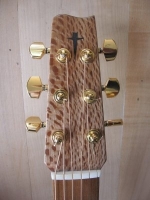 Headstock - Rewa rewa (New Zealand Honeysuckle)
