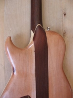 Back