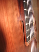 Raised fretboard