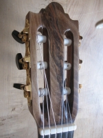 Walnut Headstock