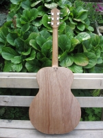 Back view