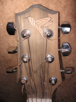 Walnut headstock