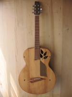 No. 104 Jumbo 2 - 100% New Zealand Native Wood guitar - 12 fret - Click to view all images in the photo album No Image