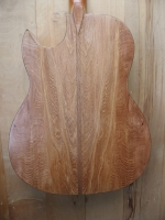Back view