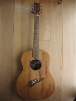 Isis 2 - Koru Series 100% Native New Zealand Wood - No. 115 - Fanned fret - Click to view all images in the photo album No Image