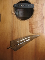 Close-up front