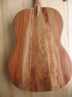 Back view