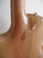 Closeup back