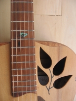 Leaf sound holes Leaf sound holes